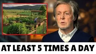 Paul McCartney&rsquo;s Unusual Routine at 83 That Fuels His Creativity