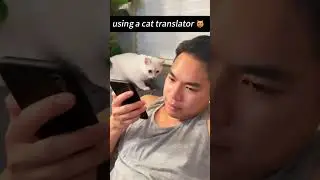 Funny CAT Moments 😂😂 episode 3346 #funnycats #cats #funnyanimals #petsofinstagram