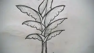 How to draw beautiful banana tree drawing #ruchikaartcreation #drawing #art #viralvideo #easyartlove