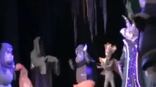 TDL 