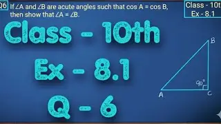 Trigonometry Class 10 🔥 Exercise 8.1 Question 6 | NCERT Maths Solution