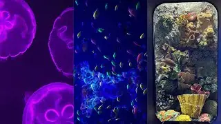 Visita al acuario🐠 24/07/24