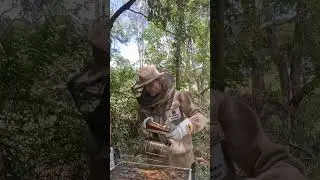 Carmen's Australian Storytime  - Bee Keeping -3