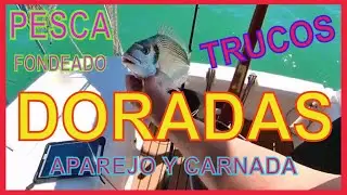 ¡Cómo pescar DORADAS y URTAS con un APAREJO SENCILLO y poner el MUERGO de FORMA FÁCIL!
