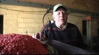 Illinois Corn Stoves