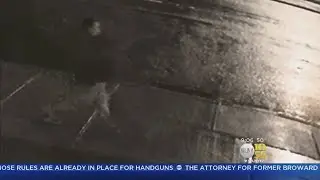 Statues Vandalized At Church In Queens; Suspect Arrested