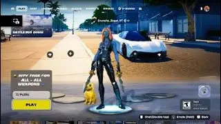 Fortnite_20251201080138