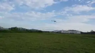 THE GLOBAL EAGLE
