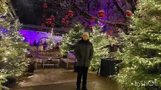 Christmas Lights in Linz, beautiful night views, Winter wonderlands, Austria 🇦🇹 Tibetan Vlog