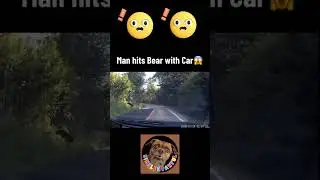 Watch What Happens When He Tries To Go Home: Unbelievable Bear Encounter! #bearshorts #crazyanimals