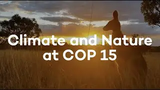 Climate and Nature at COP 15