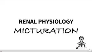 “MICTURITION REFLEX: RENAL PHYSIOLOGY EXPLAINED 🚰✨”#mbbs #mbbsexams #mbbslife |BRAINLESSMEDICO