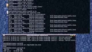 Running the server as a service under mono