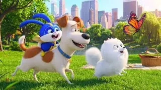 Max & Gidget&rsquo;s lovely Day at the park | Fun, Chaos & Friends (Secret Life of Pets)