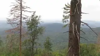 The Taunus Mountains - July 2023