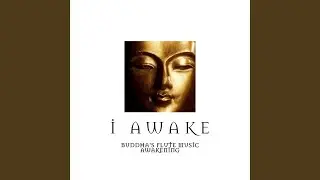Soul Energy Awakening