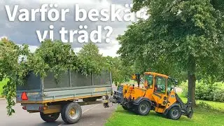 D&auml;rf&ouml;r besk&auml;r vi tr&auml;d i v&aring;ra bostadsomr&aring;den