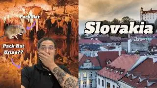 Slovakia, Stalagmites and Pack Rats - Random Learning
