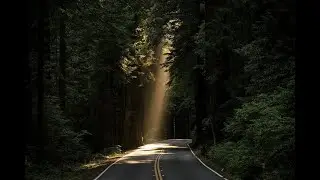 Let your work speak in silence; avoid the need for recognition.