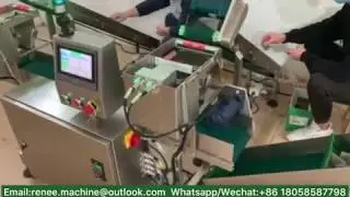 small sachet/bag packer +counting/counter +ziplock standup pouch equipment line