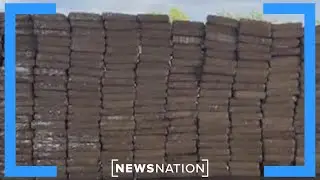 Border report: 400 million lethal does of fentanyl seized | Morning in America