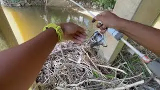 Artemis Pure | Test Field | UL | Tasik Biru