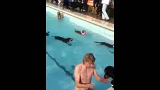 Poolparty