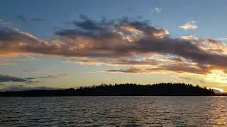 Sunset sinuous sea serpent