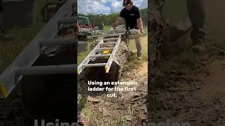 Your First Cut with an Alaskan Mill Needs to Be Perfect! Stihl MS 881 and Granberg Alaskan Mill