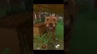 what i saw in survival  craft 2 left me shaking  4 months