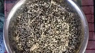 How to peel off the skin of Urad dal (Split Black Gram)/उड़द की दाल का छिलका कैसे उतारें/
