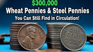 $300,000 Wheat Pennies and Steel Pennies You Can Still Find in Circulation!