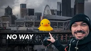 I PHOTOGRAPHED THE WORLDS LARGEST DUCK IN SEATTLE