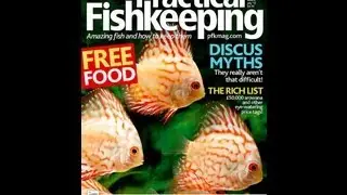 VOTE FOR US - PRACTICAL FISHKEEPING READERS POLL 2012