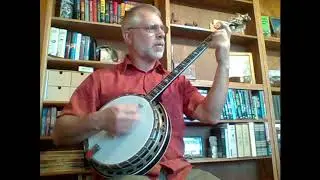 Ron Hinkle plays Water Lillies