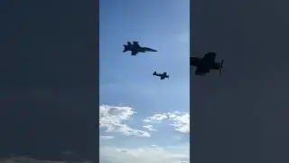 A WW2 Warbird and a modern fighter jet flyby! The Navy Legacy Flight at an airshow #shorts #aviation