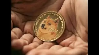 Dogecoin is Heading to Zero According to Industry Panel