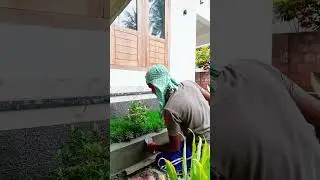 ছেলেদের আবার জীবন 😔😔😔#রাজমিস্ত্রি #wall #conception #YouTube viral video