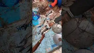 SMALL ROHU FISH/Arunsaroj #shortvideo #fishing #shorts #trending #short #fish #seafood