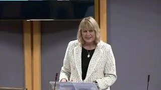 Senedd Debates Pet Abduction Bill