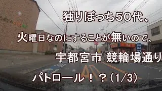 独りぼっち５０代、火曜日なのにすることが無いので、宇都宮市 競輪場通り パトロール！？(1/3)