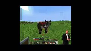 #minecraft #minecraftbeauty #minecrafthumor #foryou #memes #mcmycraft #minecraftjokes