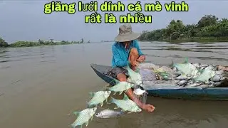 Ông chú hai dân lứ ở ngoài sông lớn dính cá rất là nhiều.