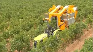 Machine à vendanger tractée GREGOIRE G1