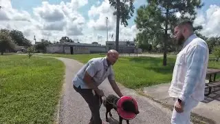 Dog stabbing sparks safety alert
