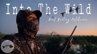 3 Man Crew LIMITS Duck Hunting Opening Day