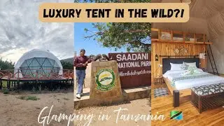 Inside Tanzania's Most Unique Luxury Tents || Saadani Safari Meets Ocean.  #tanzania 