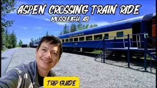 Поездка на поезде в кемпинг Aspen Crossing