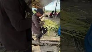 ###Let me show our Chief field rest house 👈👈
