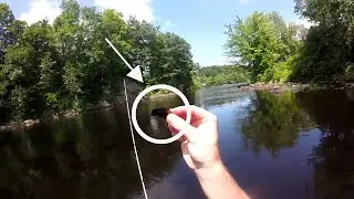 Fisherman Pulls Broken Glass Out of Fish's Stomach!!!